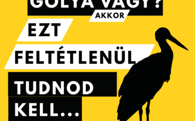 Ezt feltétlenül tudnod kell …